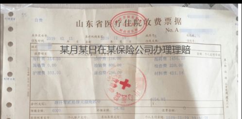 人保壽險全方位服務(wù)指南 保單查詢、驗真、發(fā)票與理賠