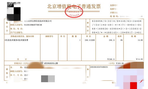 利用本地大模型高效提取發票信息 票據信息咨詢服務的革新之路